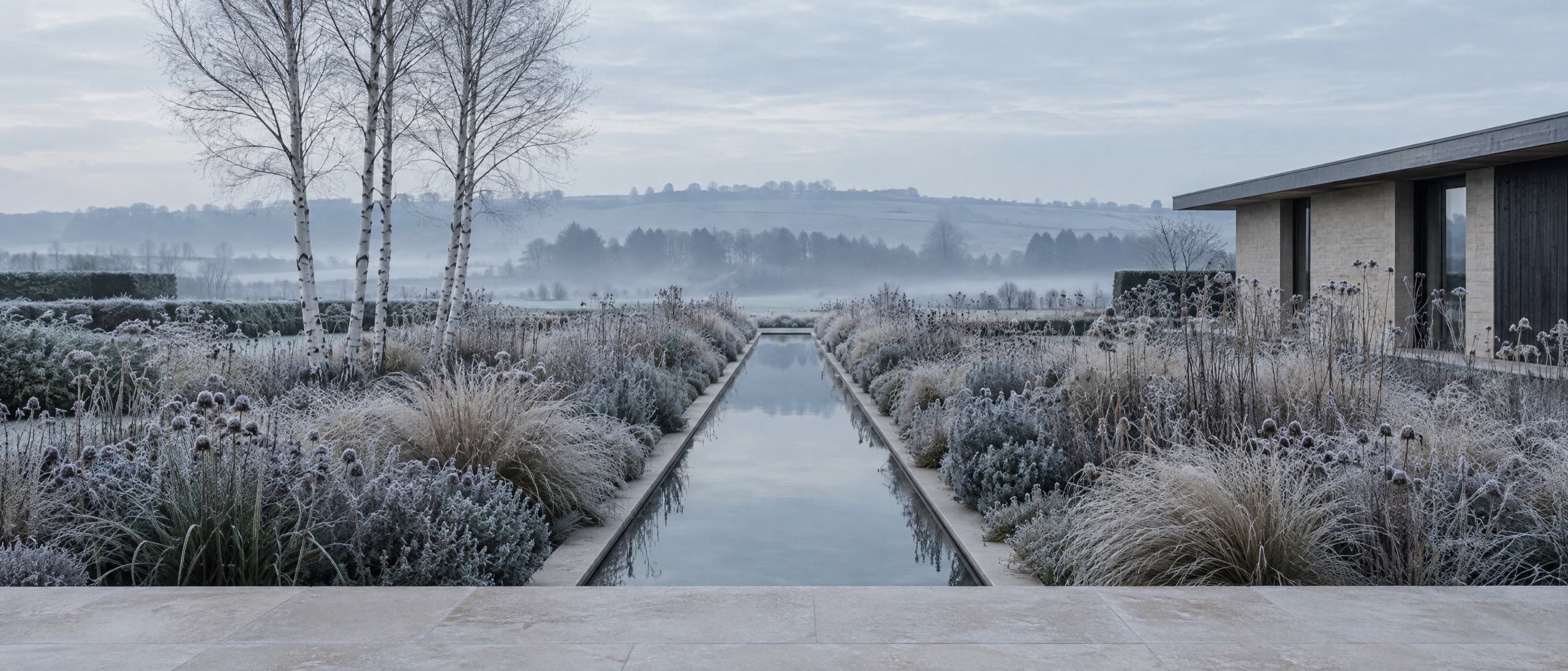 The same garden in midwinter: skeletal seedheads under hoar frost and bare birch trunks.