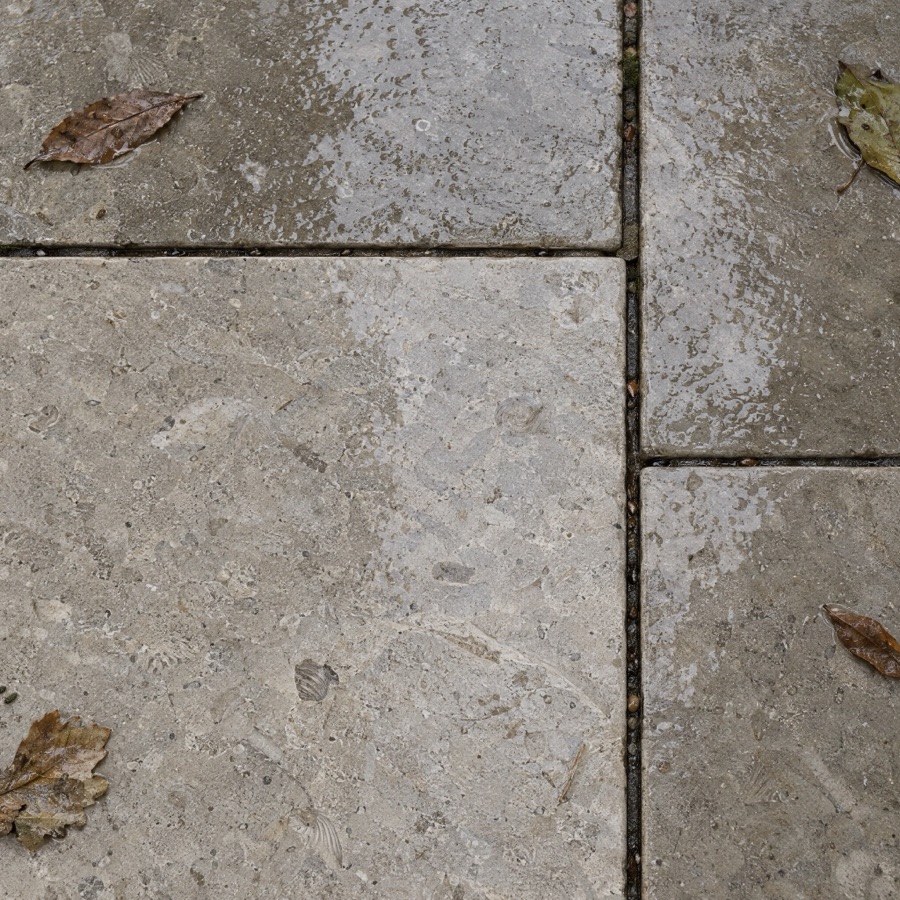 Sawn limestone paving after rain, showing fine fossil grain.